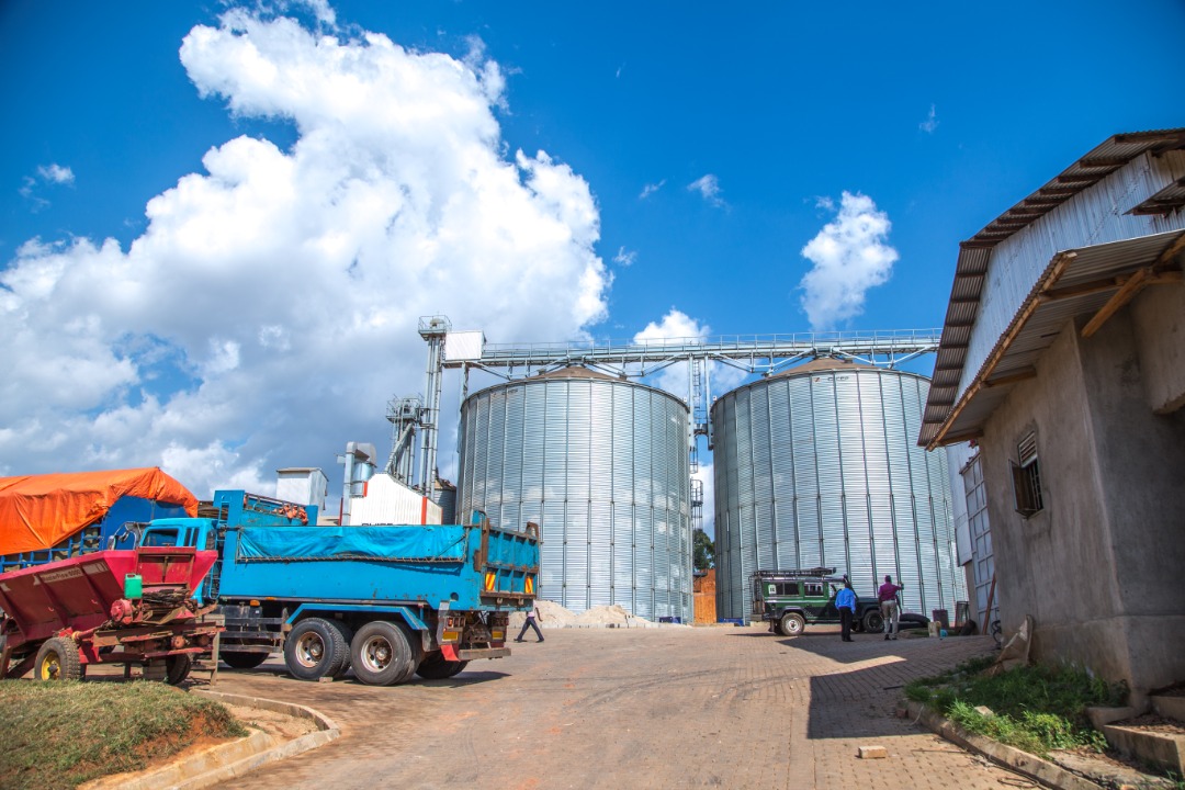 WhatsApp Image 2021-04-23 at 1.01.24 PM.jpeg